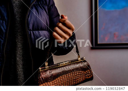 提著手提包的女人 119032847