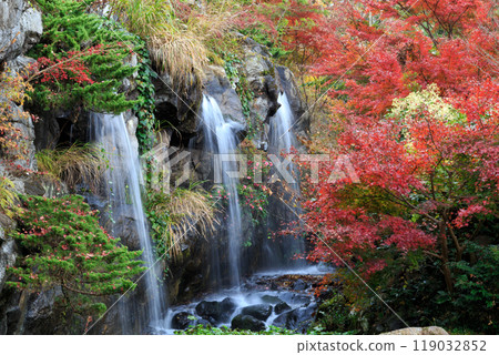 秋天的熱海梅園、紅楓樹和梅花瀑布(靜岡縣熱海市) 秋天的熱海梅園、紅楓樹和梅花瀑布(靜岡縣熱海市) 119032852
