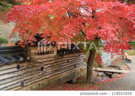 秋季熱海梅園韓國庭園（靜岡縣熱海市） 119032858