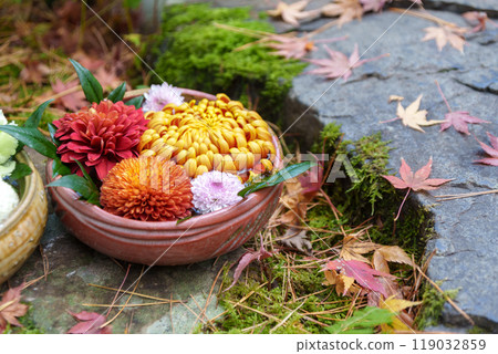 一江漢山莊秋花祭（神奈川縣鎌倉市） 119032859