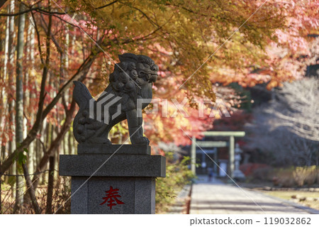 建長寺 - 半莊坊參道上的紅葉和守護犬(神奈川縣鎌倉市) 建長寺 - 半莊坊參道上的紅葉和守護犬(神奈川縣鎌倉市) 119032862