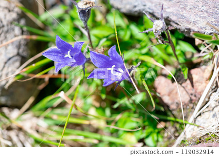 Iwagikyo found on Mt. Ontake Iwagikyo found on Mt. Ontake 119032914