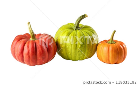 Photograph of pumpkins on a white background Photograph of pumpkins on a white background 119033192
