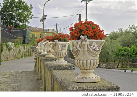 Ornate Vases with Red Flowers, Massa Lubrense, Italy 119033234