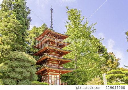 Japanese Temple in the Japanese Tea Garden, San Francisco, USA Japanese Temple in the Japanese Tea Garden, San Francisco, USA 119033268