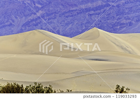 Sand Dunes, Death Valley, USA Sand Dunes, Death Valley, USA 119033293