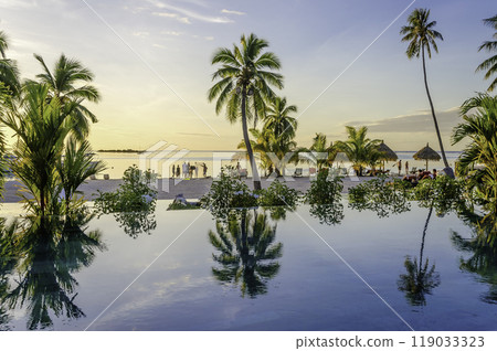 Palms over an infinity pool on the beach, French Polynesia Palms over an infinity pool on the beach, French Polynesia 119033323