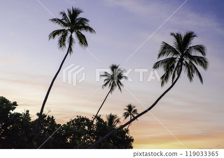 Tropical sunset, French Polynesia Tropical sunset, French Polynesia 119033365