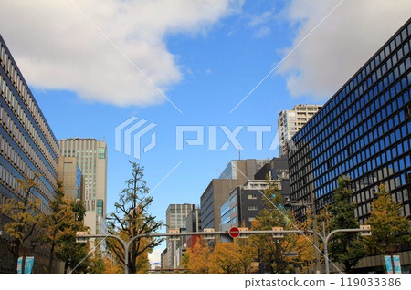 Midosuji and ginkgo trees 119033386