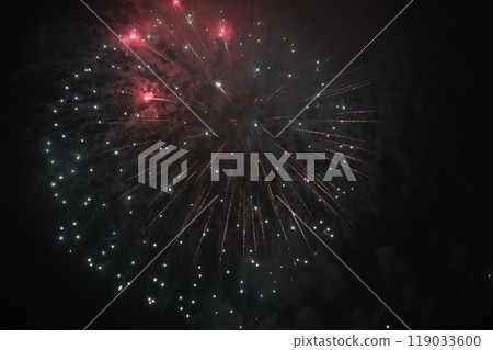 The 46th Setagaya Tamagawa Fireworks Festival 119033600