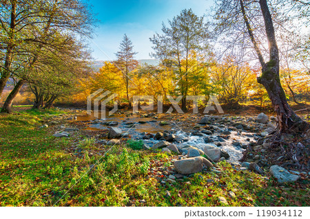 landscape with creek in the forest on an sunny autumn morning. carpathian nature scenery in fall season 119034112
