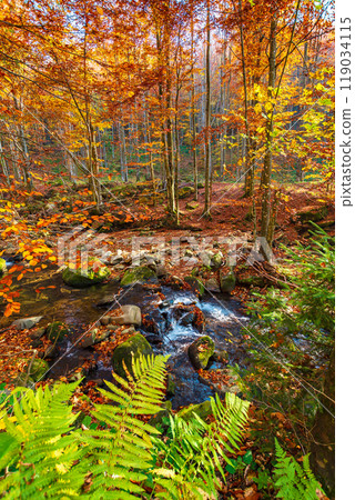 landscape with creek in the forest on an sunny autumn morning. carpathian nature scenery in fall season. golden october weather 119034115