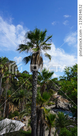 View of the sea coast in Lloret de Mar, Costa Brava, Catalonia, Spain. View of the sea coast in Lloret de Mar, Costa Brava, Catalonia, Spain. 119034632