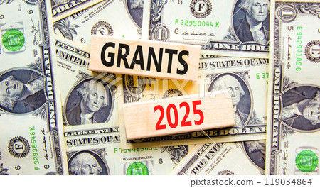 Planning grants 2025 new year symbol. Concept words Grants 2025 on beautiful wooden blocks. Dollar bills. Beautiful background from dollar bills. Business grants 2025 new year concept. Copy space. Planning grants 2025 new year symbol. Concept words Grants 2025 on beautiful wooden blocks. Dollar bills. Beautiful background from dollar bills. Business grants 2025 new year concept. Copy space. 119034864