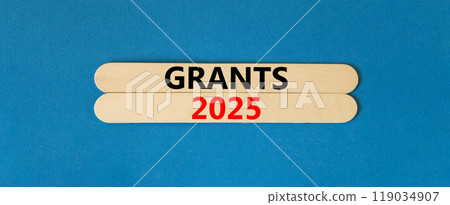 Planning grants 2025 new year symbol. Concept words Grants 2025 on beautiful wooden sticks. Beautiful blue background. Business grants 2025 new year concept. Copy space. 119034907