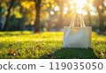 Eco bag mockup on green grass in a park 119035050