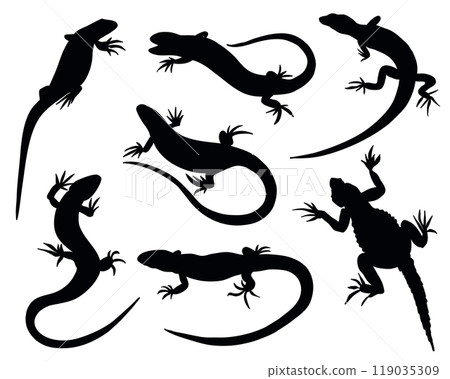 Lizard Black Silhouette Set. Vector Reptile Animal Collection Isolated on White Background Lizard Black Silhouette Set. Vector Reptile Animal Collection Isolated on White Background 119035309