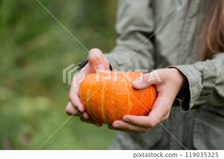 A woman in a green jacket holds a small pumpkin in her hands while standing in the garden. close-up A woman in a green jacket holds a small pumpkin in her hands while standing in the garden. close-up 119035325