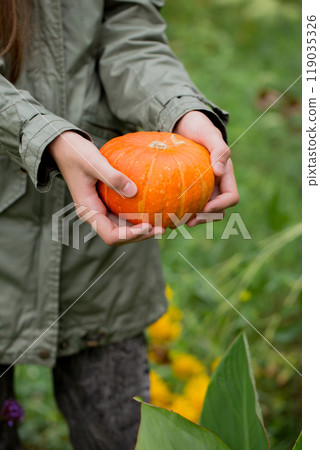 A woman in a jacket holds a orange pumpkin in her hands while standing in the garden. close-up A woman in a jacket holds a orange pumpkin in her hands while standing in the garden. close-up 119035326