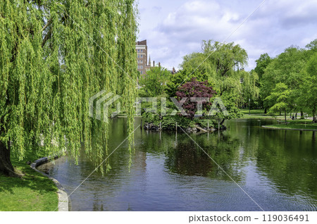 Idillic view in the Boston Public Garden, USA Idillic view in the Boston Public Garden, USA 119036491