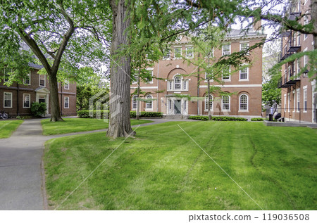 Inside the Harvard University Campus, Cambridge, USA 119036508