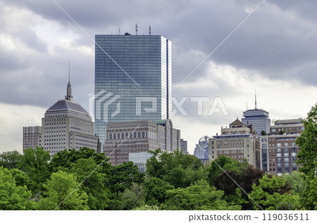 The Boston skyline seen from the Boston Public Garden, USA 119036511