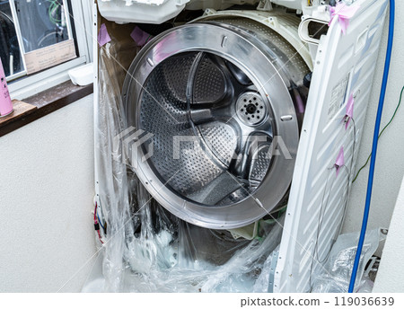 Disassembly and cleaning of drum-type washing machines 119036639