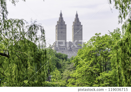 Central Park, Manhattan, New York City, USA Central Park, Manhattan, New York City, USA 119036715