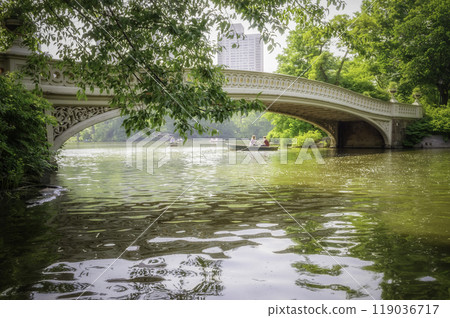 Central Park, Manhattan, New York City, USA 119036717