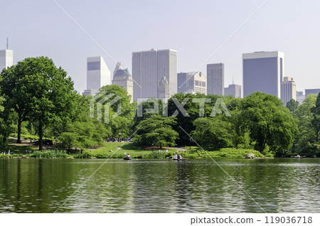 Central Park, Manhattan, New York City, USA 119036718