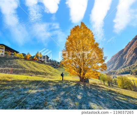 Breathtaking autumn landscape  at Heiligenblut village near Grossglockner mount . 119037265