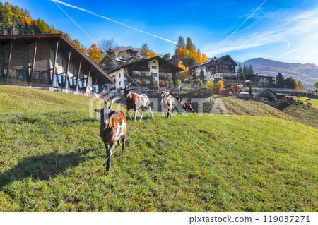Astonishing autumn landscape at Heiligenblut village near Grossglockner mount . Astonishing autumn landscape at Heiligenblut village near Grossglockner mount . 119037271