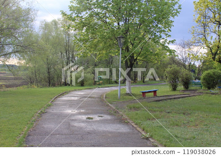 wet paved road in the park in the summer on the right there is a bench and a green tree 119038026