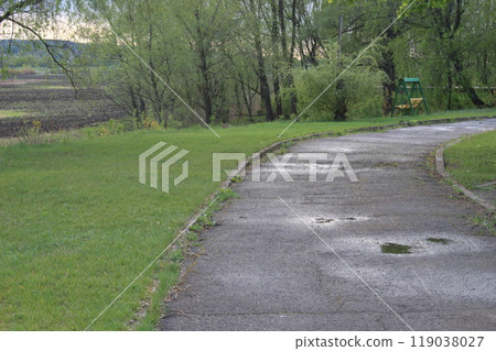 wet paved road in the park in the summer on the right there is a bench and a green tree 119038027