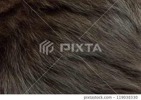 Cat fur as a background. Close-up of a black long fur kitten or cat. Cat fur as a background. Close-up of a black long fur kitten or cat. 119038330