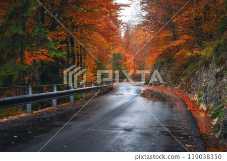 Road in colorful red forest in golden autumn in rainy day 119038350