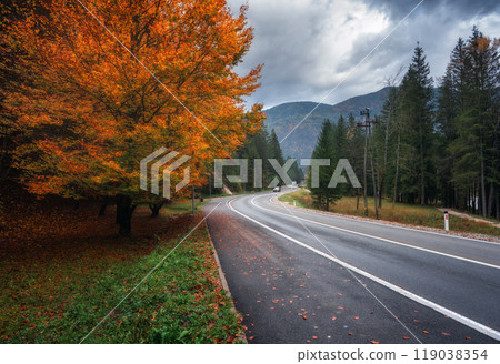 Road and beautiful red tree in golden autumn. Empty mountain road Road and beautiful red tree in golden autumn. Empty mountain road 119038354