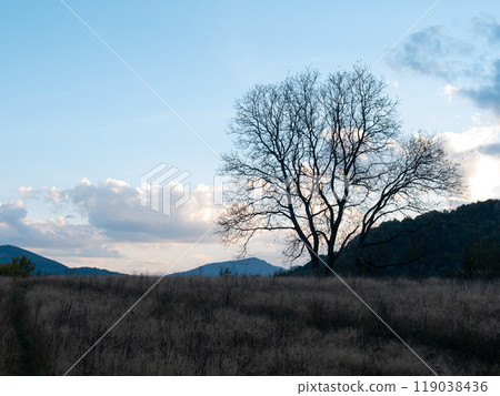 Village in Transcarpathia region scenic Carpathian mountains view Ukraine Europe Autumn countryside landscape Evening 119038436