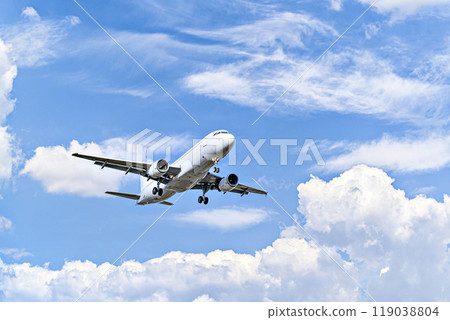 Passenger plane landing at the airport, under a blue sky with white clouds 119038804