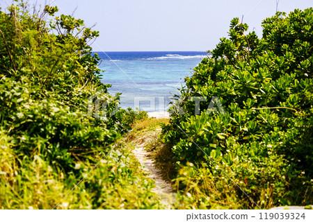 Uku no Hama Uku no Hama 119039324