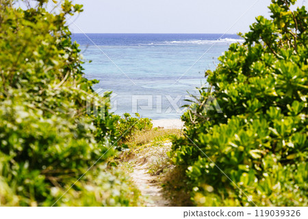 Uku no Hama Uku no Hama 119039326