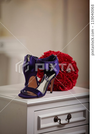Stylish and fashionable pair of woman high heels shoes, perfect for successful modern woman for socialite and sociable sophisticated woman fashion and style concepts Stylish and fashionable pair of woman high heels shoes, perfect for successful modern woman for socialite and sociable sophisticated woman fashion and style concepts 119040068