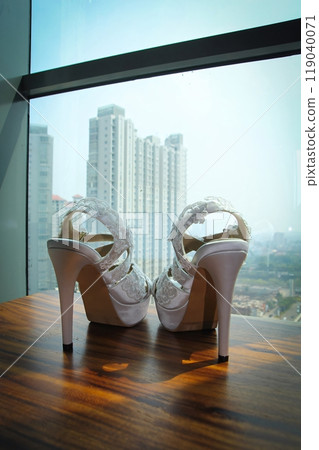 Stylish and fashionable pair of woman high heels shoes, perfect for successful modern woman for socialite and sociable sophisticated woman fashion and style concepts 119040071