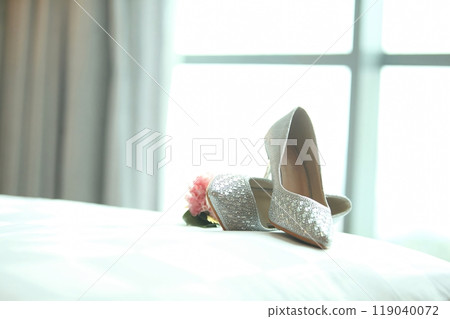 Stylish and fashionable pair of woman high heels shoes, perfect for successful modern woman for socialite and sociable sophisticated woman fashion and style concepts 119040072