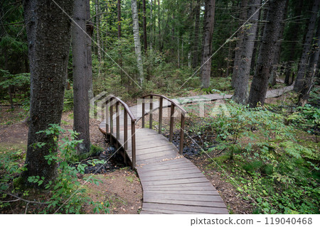 Empty ecological trail in dense dark coniferous forest in autumn. Hiking trail in woodland Empty ecological trail in dense dark coniferous forest in autumn. Hiking trail in woodland 119040468