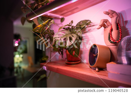 Grow light. Indoor plants under phytolamps on shelf at home in winter season. Plant care 119040528