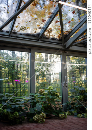 Greenhouse winter garden in autumn-winter time for plants grown, floral orangery. 119040554