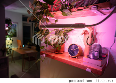 Grow light. Indoor plants under phytolamps on shelf at home in winter season. Plant care 119040593