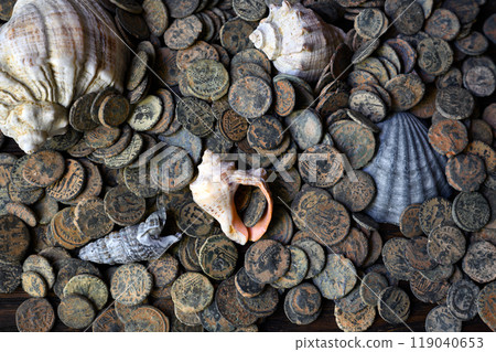 Pile of Roman coins and sea shells on old dark wooden table, top view of Ancient money hoard, vintage background. Concept of antique, Empire and history 119040653