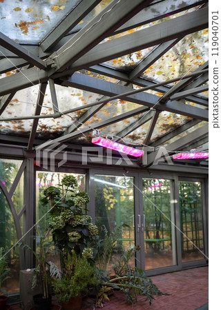 Phytolamps in greenhouse winter garden in autumn-winter time for plants grown instead sun. Phytolamps in greenhouse winter garden in autumn-winter time for plants grown instead sun. 119040701